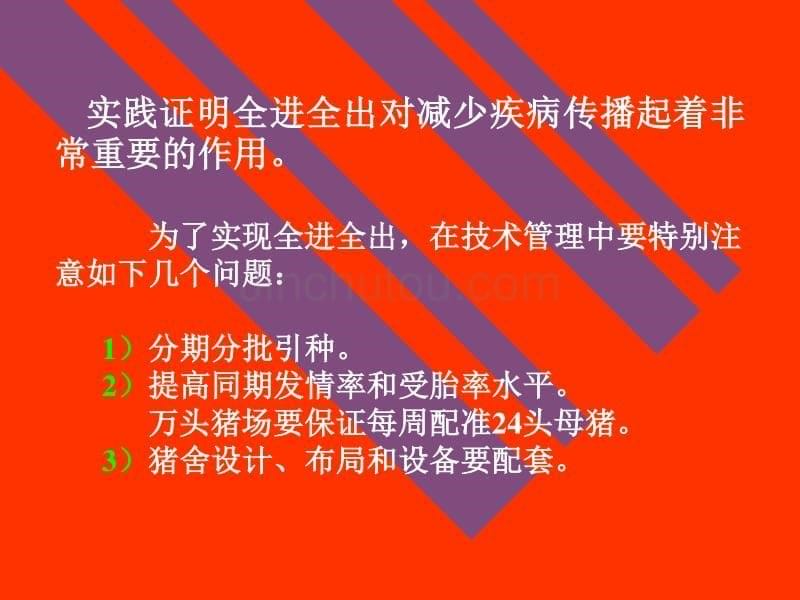 规模化养猪场的规划设计_第5页