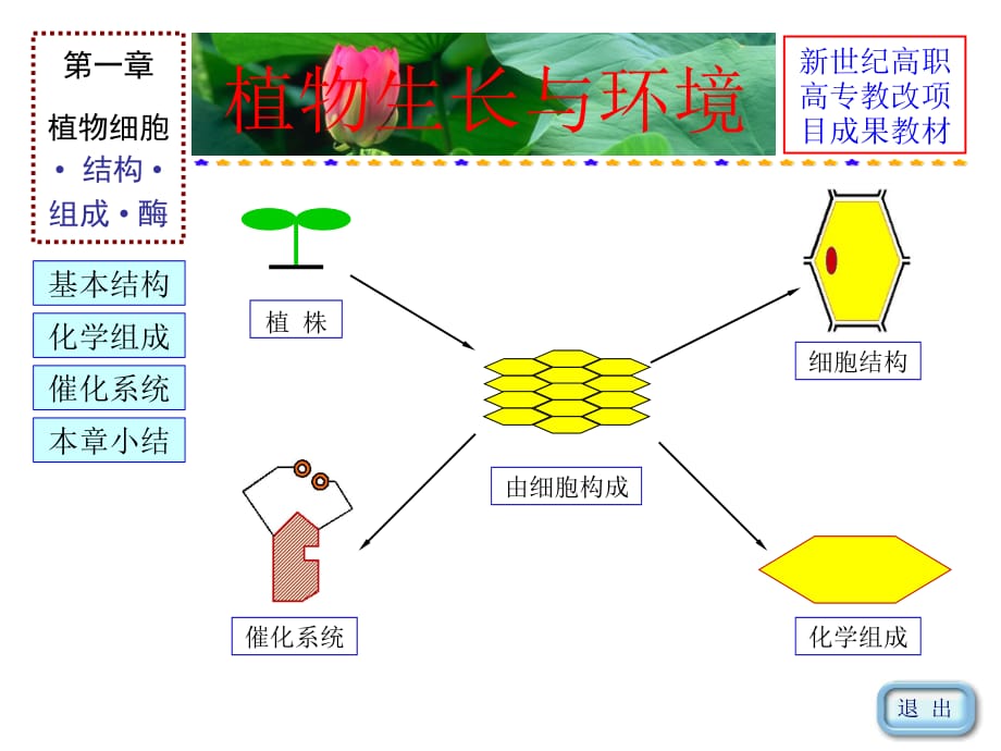 植物细胞_第2页