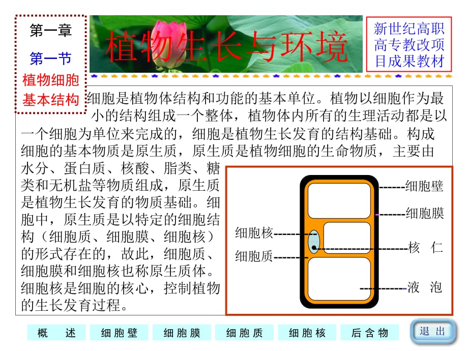 植物细胞_第3页