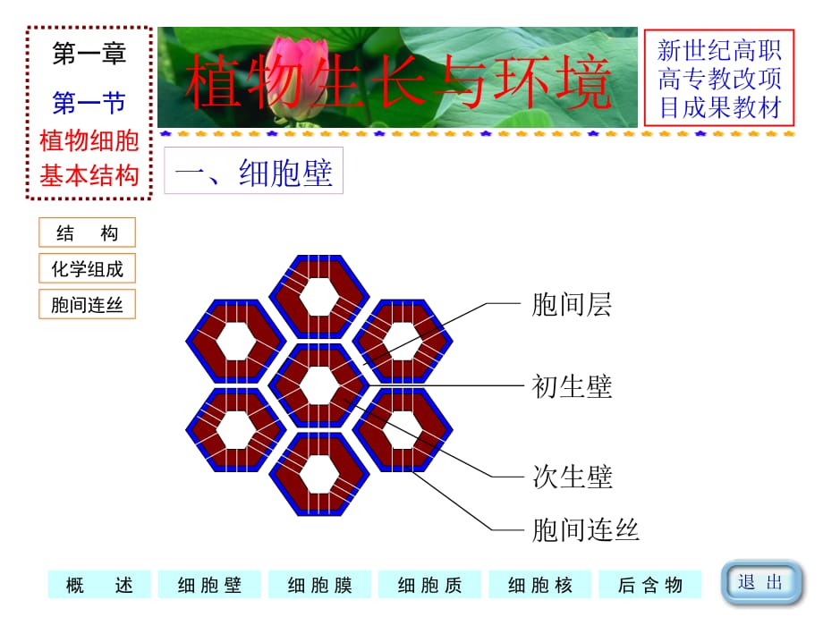 植物细胞_第4页