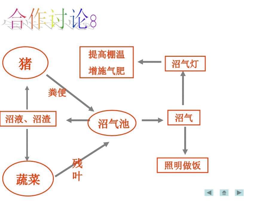 家乡的农业园区规划_第5页