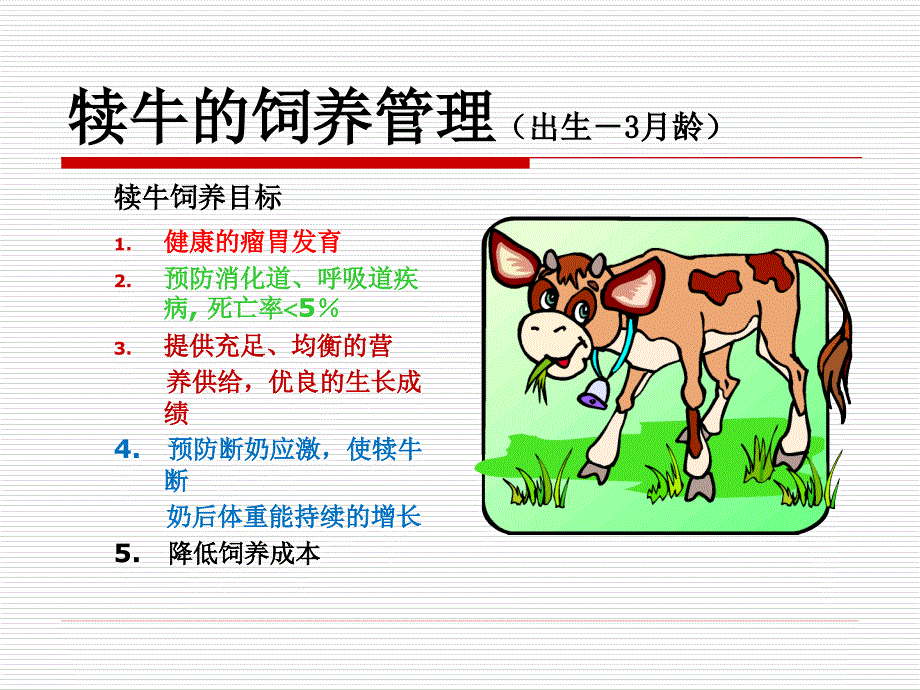 犊牛饲养程序_第4页