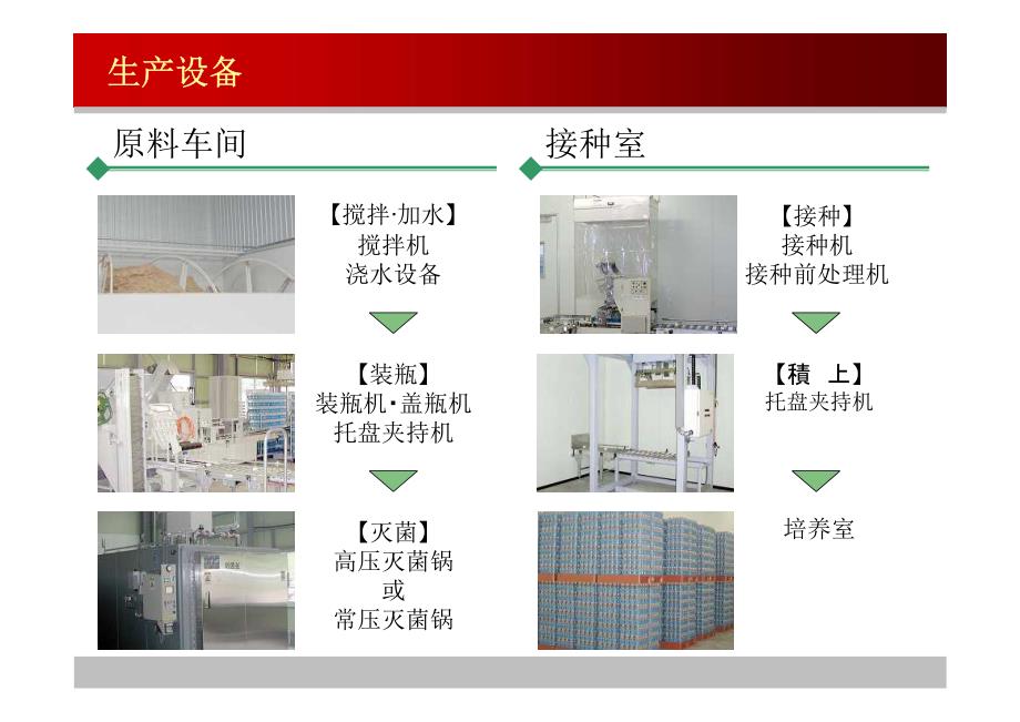 日本杏鲍菇工厂化生产技术.ppt_第3页