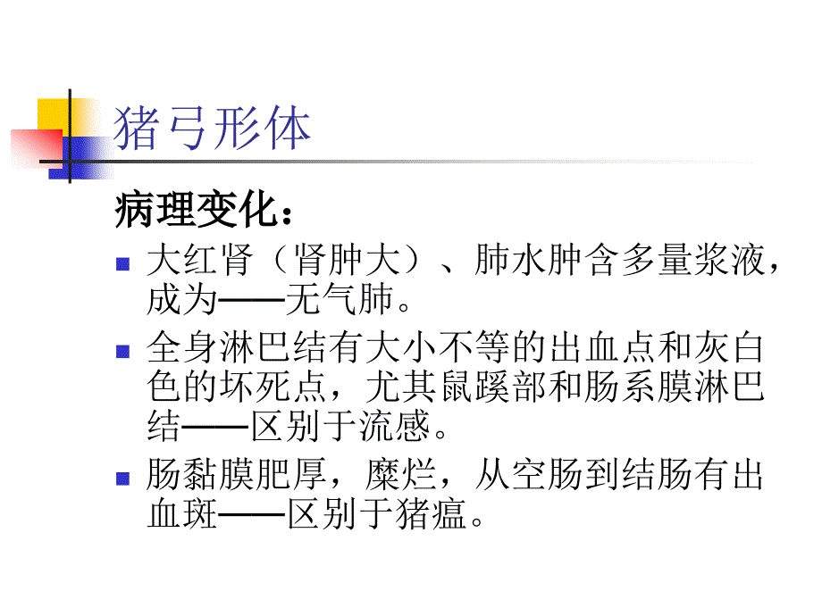 常见猪病防治_第3页