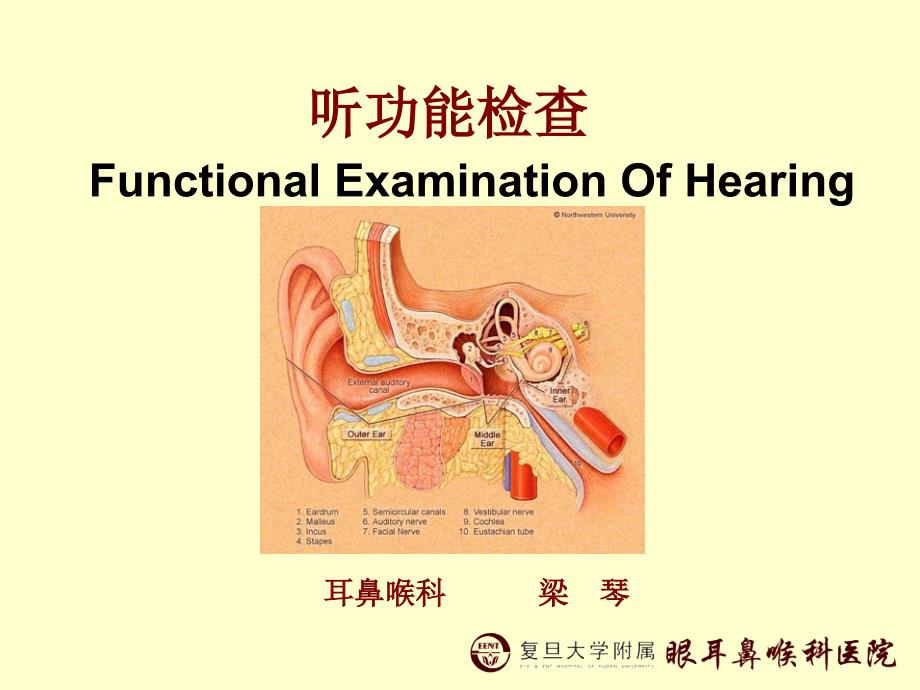 听功能检查 Functional Examination Of Hearing 梁琴－耳鼻喉科_第1页