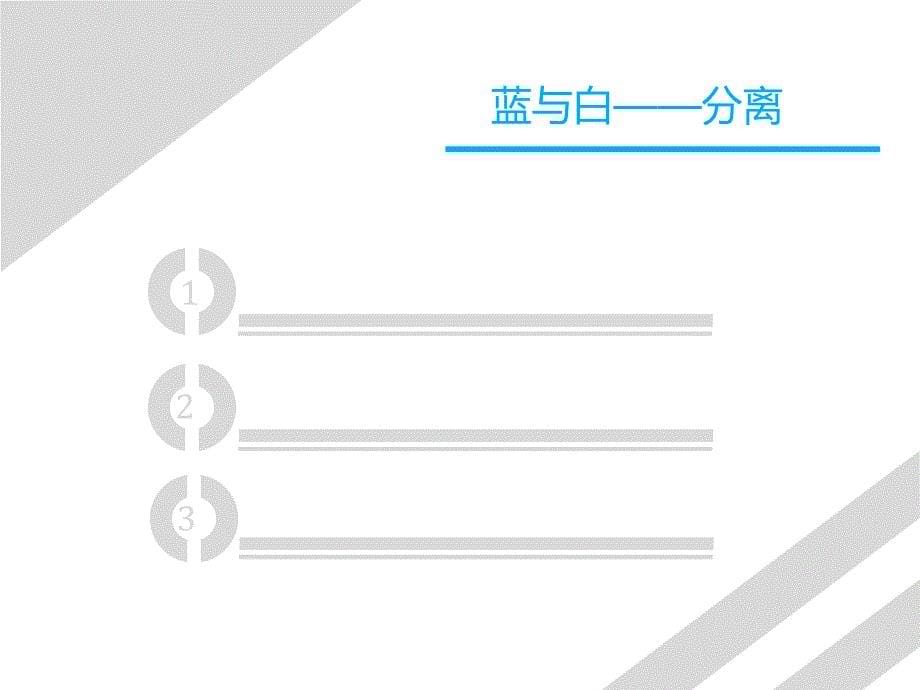 【联系导师及简历模板】蓝与白_第5页