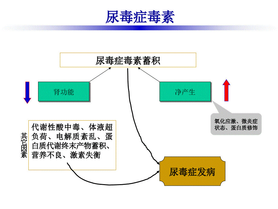 尿毒症（余科科）ppt课件_第4页