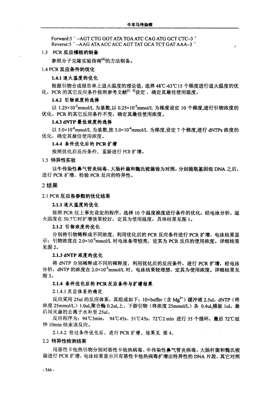 绵羊关联性牛恶性卡他热病毒PCR诊断方法的研究_第2页