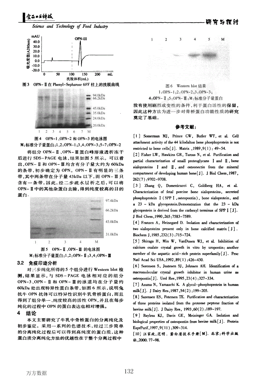 牛乳骨桥蛋白的分离纯化及初步鉴定_第3页