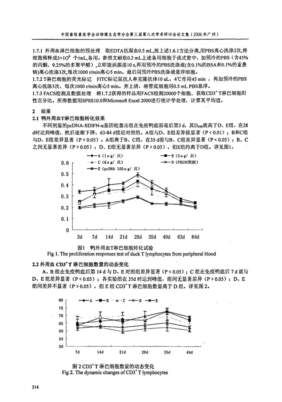 基因枪轰击鸭IFNα因疫苗对鸭瘟弱毒疫苗的细胞免疫调节作用_第3页