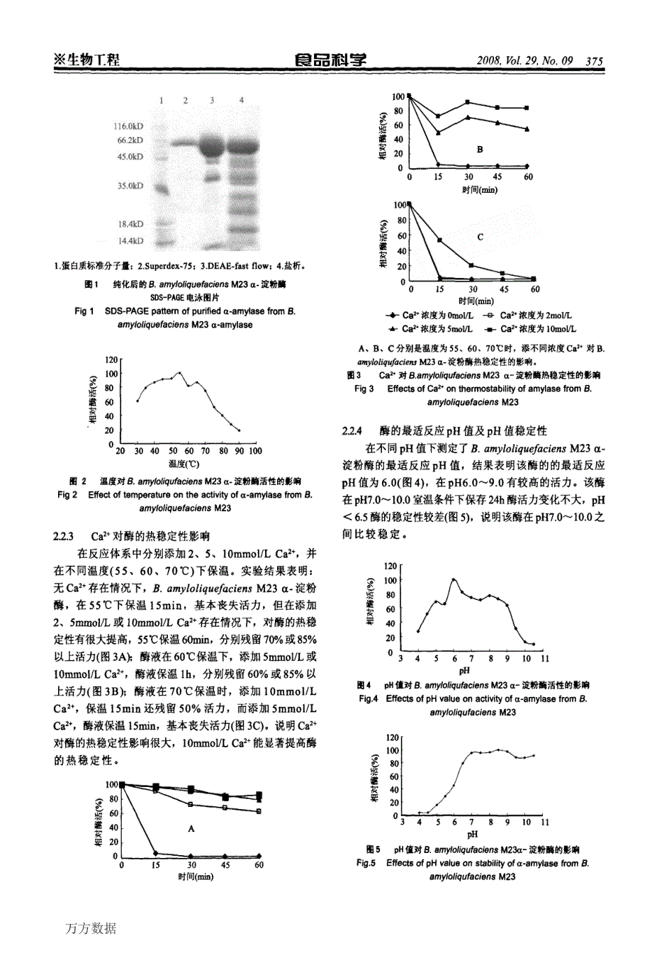 中温α淀粉酶的酶学性质研究_第3页