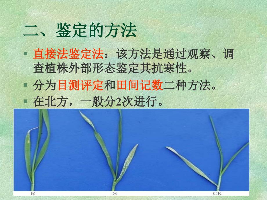 1农事学（3）第一讲“小麦抗寒性鉴定”_第4页