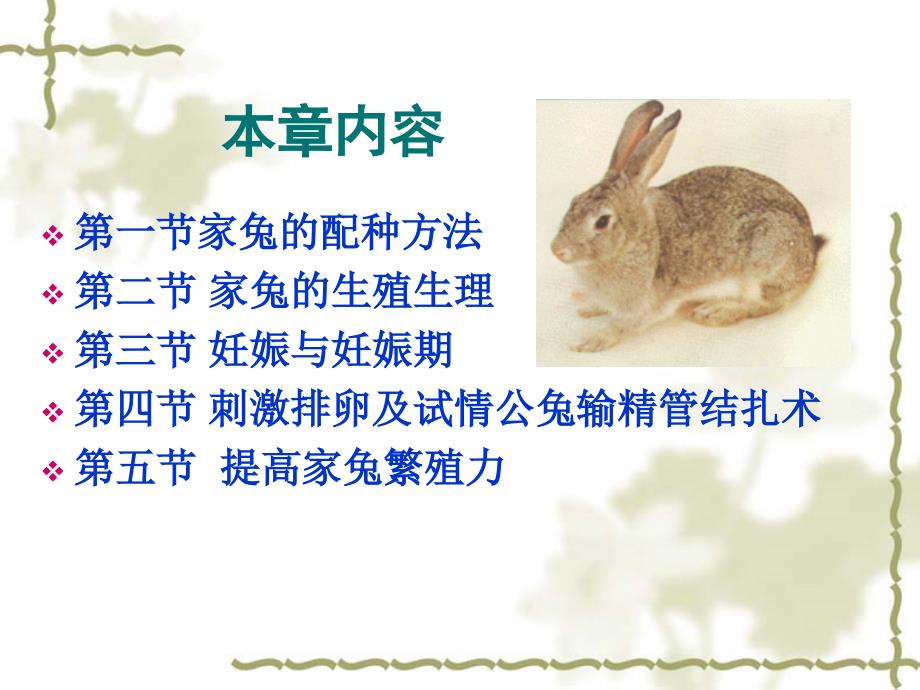家兔生产第六章  家兔的繁殖_第3页