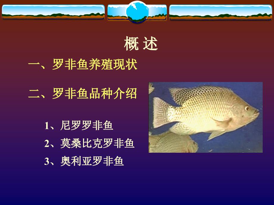 《特种水产养殖学》-2名特鱼类养殖-8罗非鱼（Tilapia)的养殖_第2页