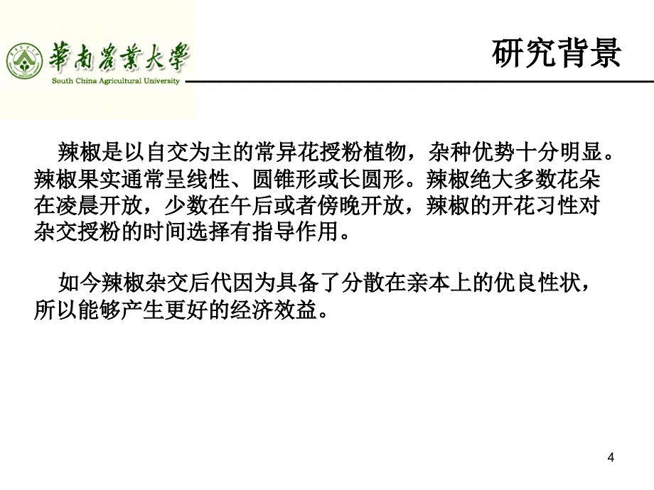 辣椒配合力分析及游离小孢子培养-专业硕士毕业论文开题报告_第4页