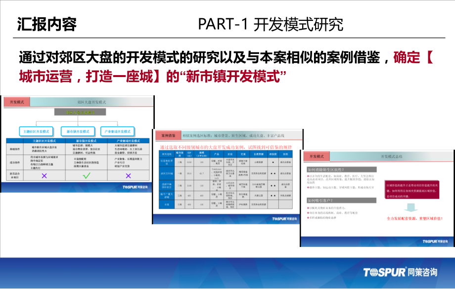 上海平安桐乡项目（引领养老生活新方式，开创全配套养老新社区）前期定位_第4页