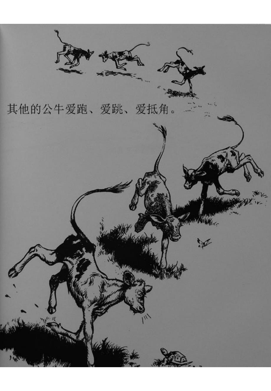 爱花的牛（儿童英语课堂游戏）_第5页