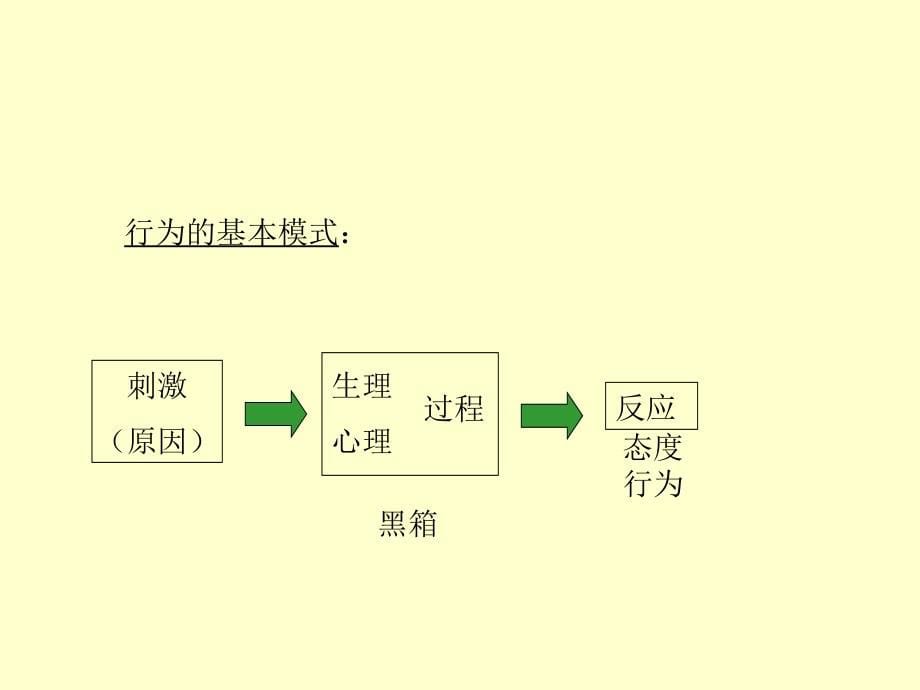 精细化营销策略_第5页