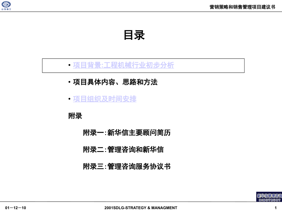 2002年山东某大型公司营销策略和销售管理项目规划框架——新华信_第2页