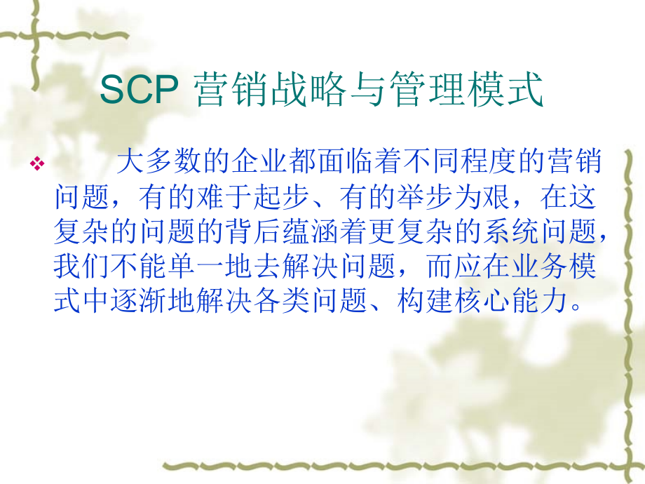 SCP 营销战略与管理模式_第2页