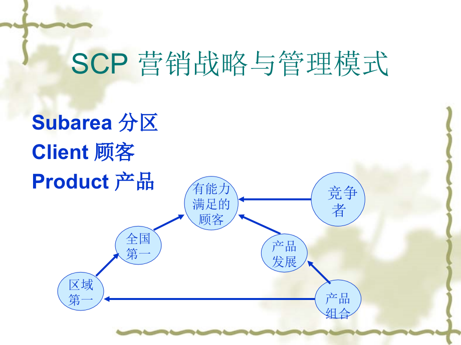 SCP 营销战略与管理模式_第4页