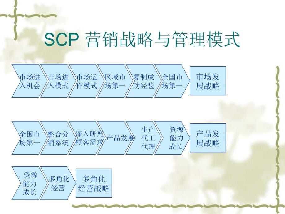 SCP 营销战略与管理模式_第5页