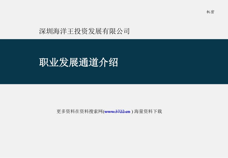 深圳海X王投资发展有限公司职业发展通道培训（PPT 24页）_第1页