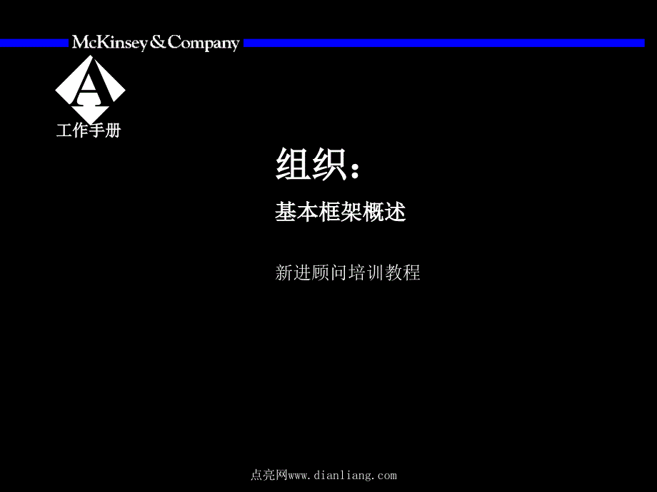 项目培训 －某公司组织咨询培训手册（PPT 45页）_第2页