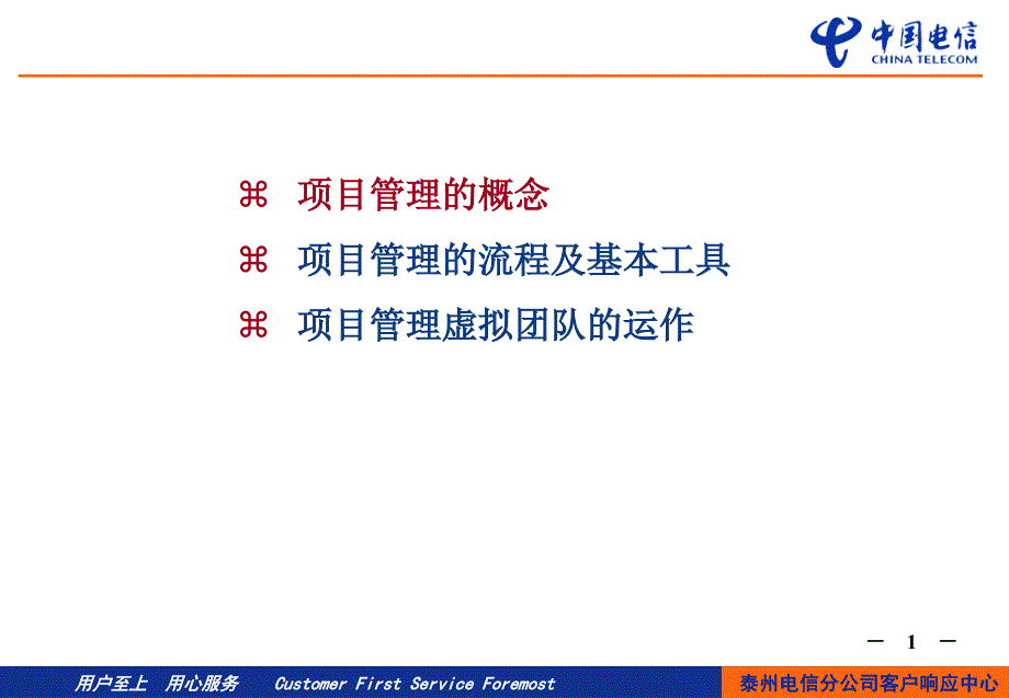 中国电信项目管理虚拟团队培训(PPT 55页)_第2页