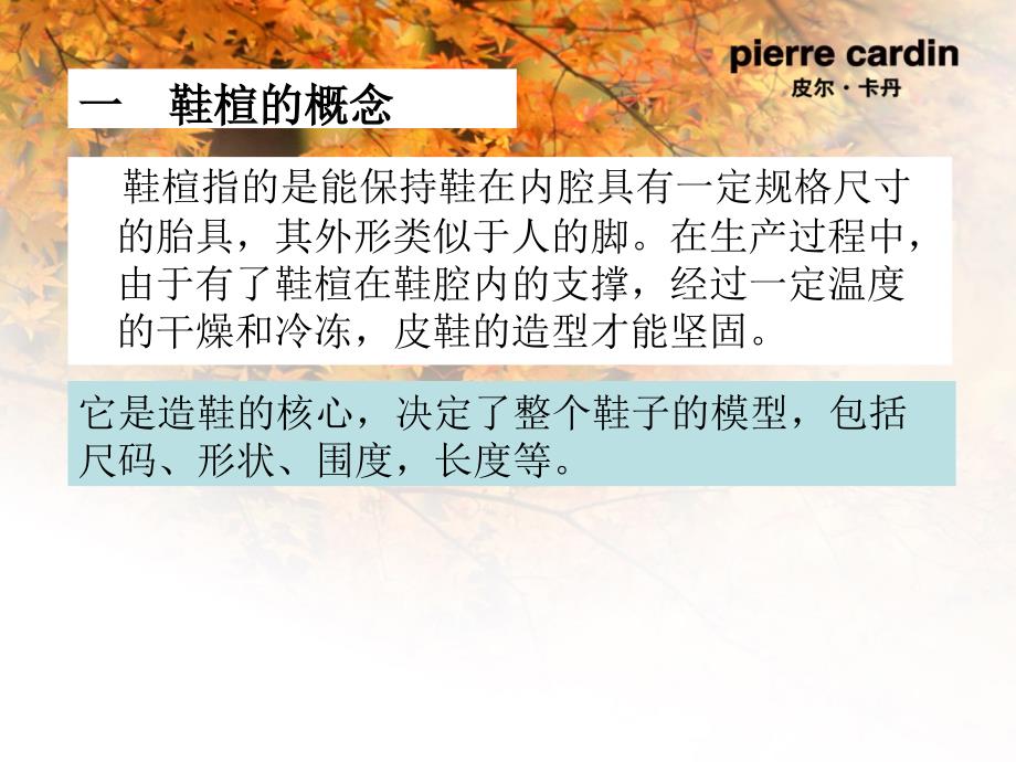 服装行业－路之宝鞋业有限公司皮尔卡丹男士皮鞋基础知识培训教材（PPT 49页）_第4页