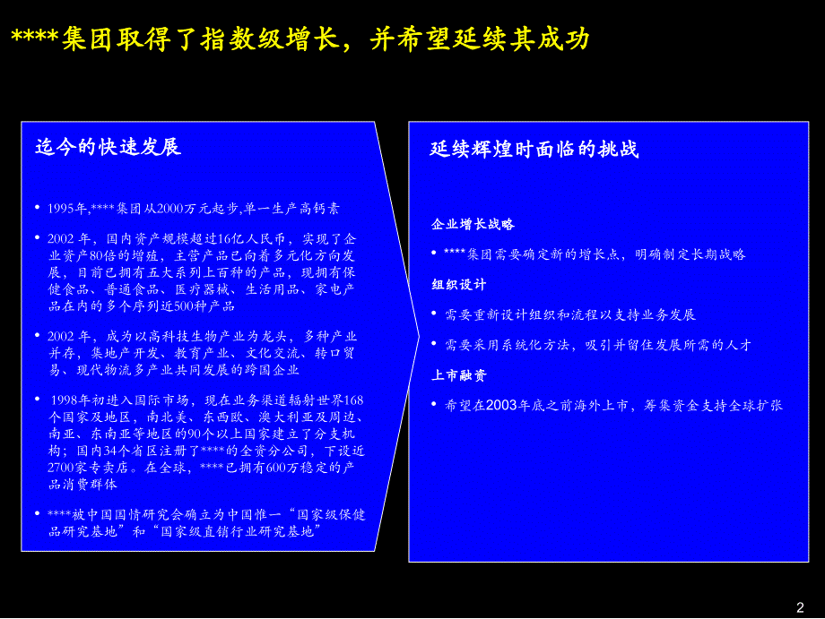 某公司上市书_第3页