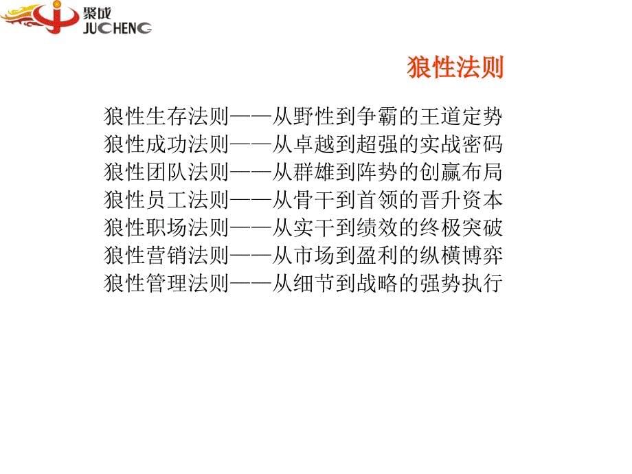 聚成资讯（教育培训）集团有限公司冠军团队打造（PPT 67页）_第5页