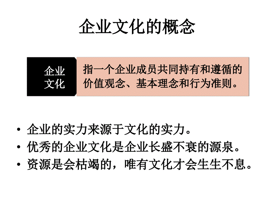 常州宣纳尔新能源科技有限公司企业文化手册-企业愿景和目标（PPT 24页）_第4页