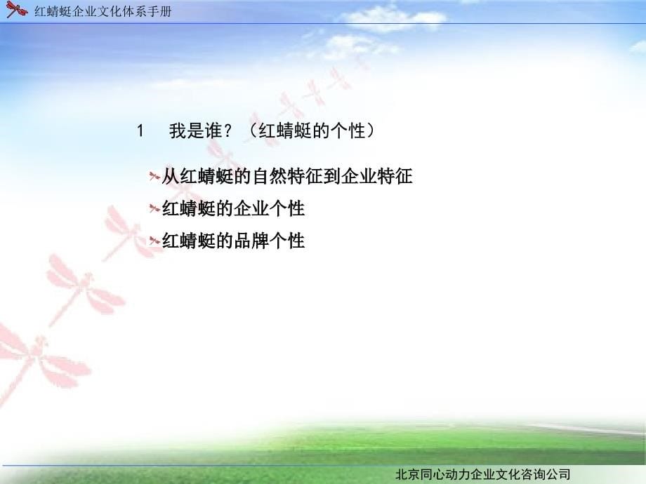 红蜻蜓企业文化手册（PPT 108页）_第5页