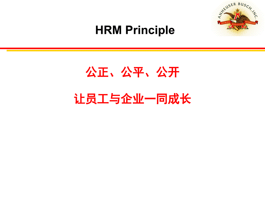 百威（武汉）国际啤酒有限公司-百威企业文化分析报告（ppt 57页）_第4页