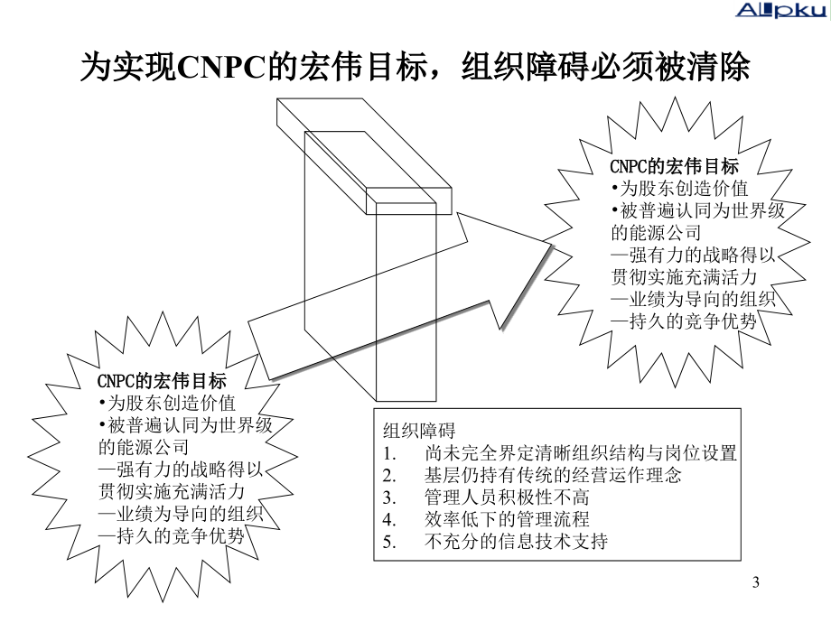 中国石油天然气公司绩效薪酬项目（麦肯锡）业绩管理培训_第3页