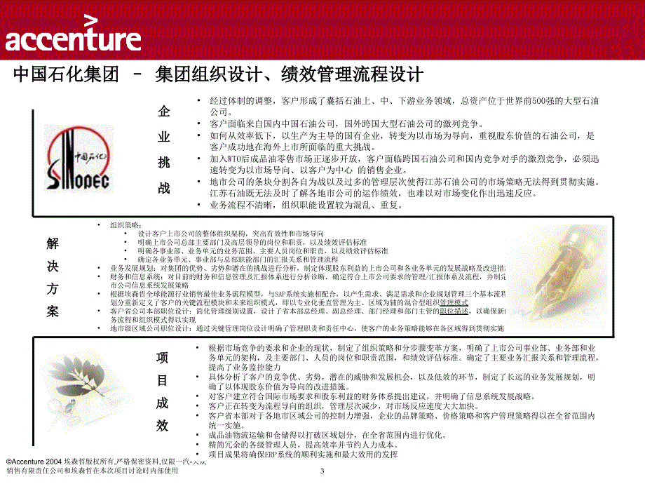 上海市电力公司绩效管理（埃森哲）HR credential template_第3页