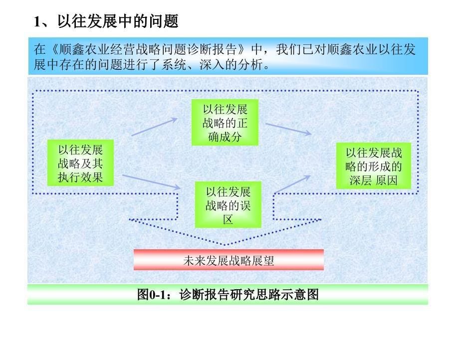 顺鑫农业股份有限公司发展战略研究报告_第5页