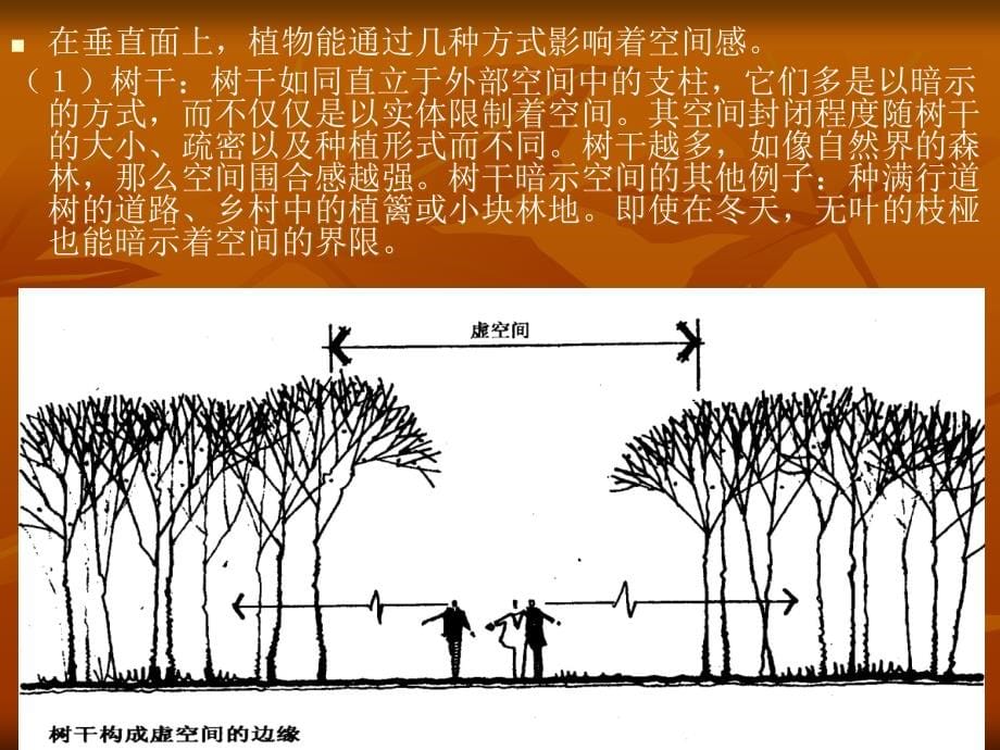 景观建筑设计原理8_第5页