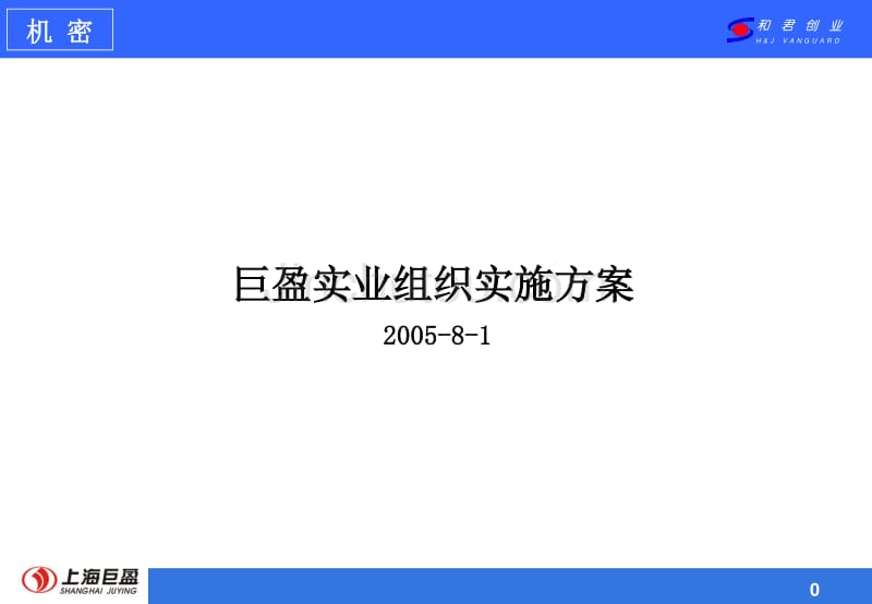 上海巨盈实业（人力资源管理）组织实施方案_第1页