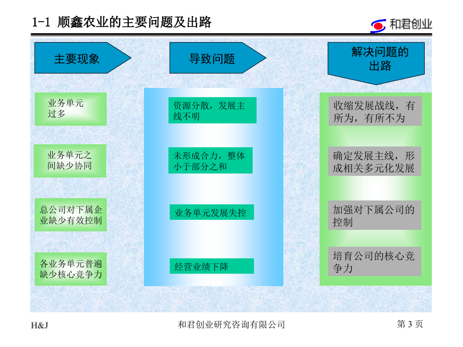 顺鑫农业发展战略报告_第3页