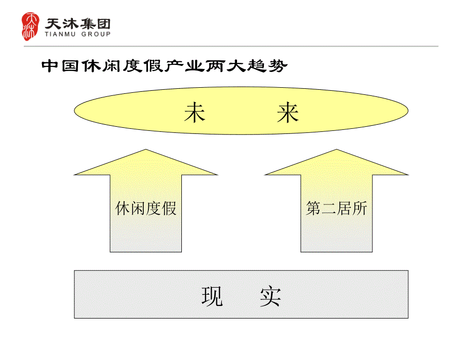 天沐集团战略发展思路概述_第2页