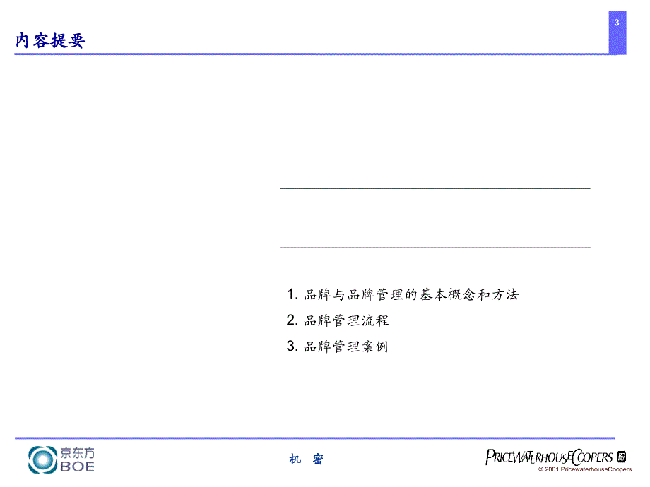 京东方（罗兰贝格）品牌管理_第3页