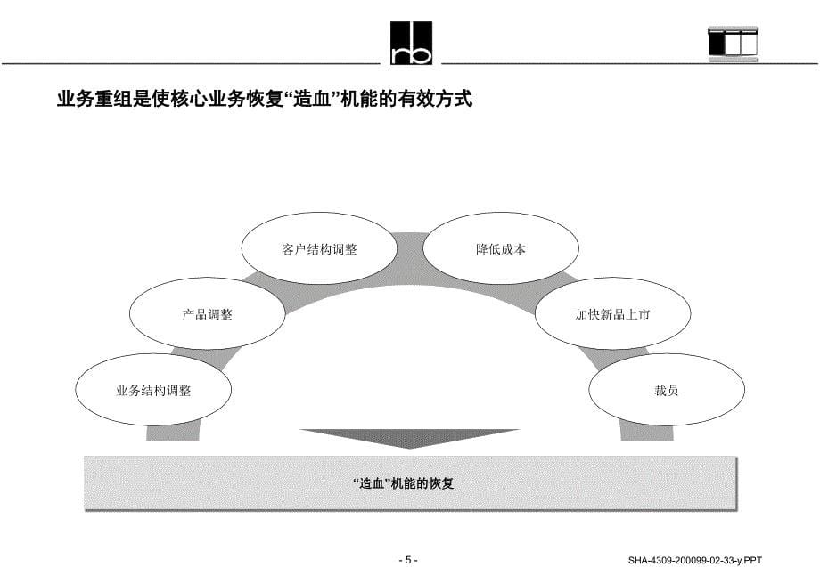 四川长虹（罗兰贝格）active business portofolio management_第5页