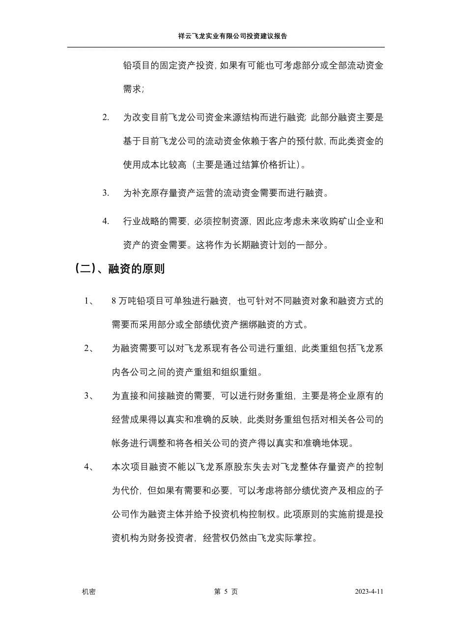 祥云飞龙实业有限公司投资建议报告_第5页