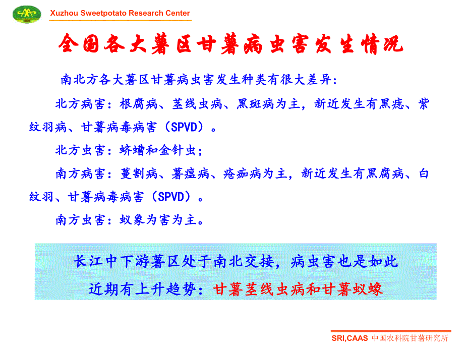 国家甘薯产业技术体系岗位专家江苏徐州甘薯研究中心谢逸萍-甘薯主要病虫害特征与防控技术_第2页