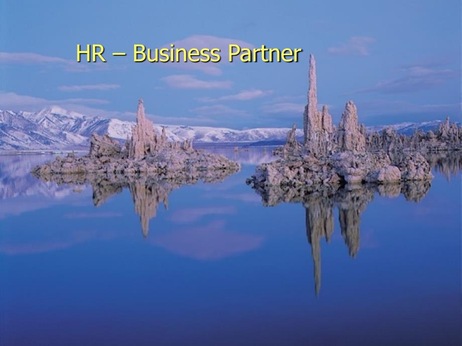 HR – Business Partner _第1页