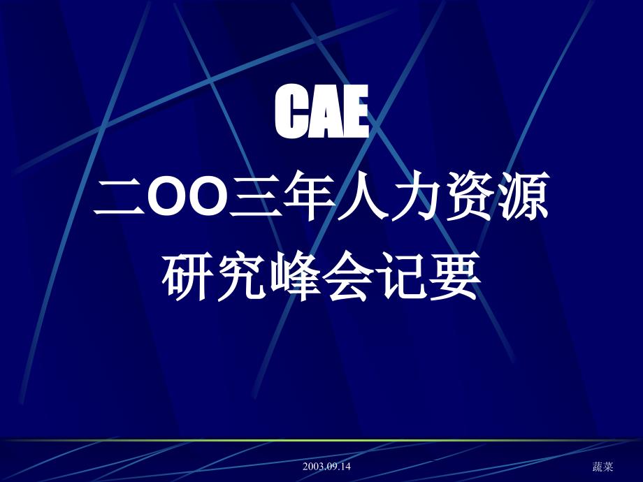 CAE二00三年人力资源研究峰会纪要_第1页