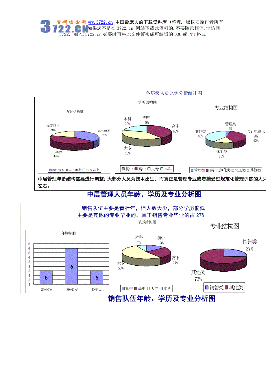 某有限公司人力资源管理诊断报告(doc22页)_第2页