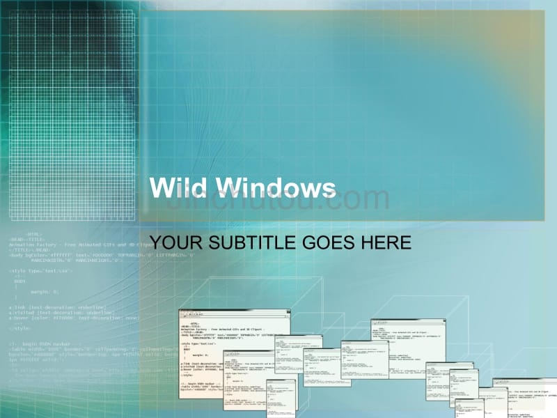 经典ppt模板（技术）wild_windows_第1页